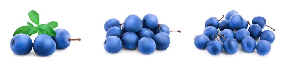 Blackthorn or Sloe berries with leaves isolated on white background. Prunus spinosa. Set or collection