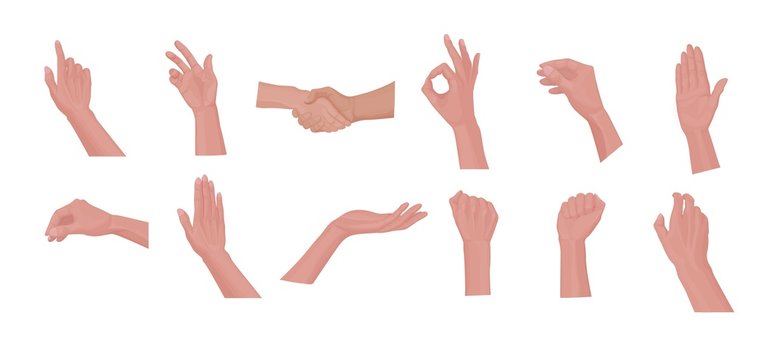 Set of different gestures with a human hand. Hand poses: okay, hello. Cartoon human male hands showing thumbs up, pointing and greeting.