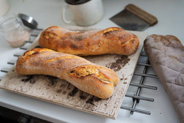 Two freshly baked delicious golden baguettes