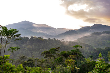Montañas verdes de los Andes Colombianos cubiertos nubes y niebla