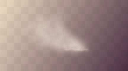 Vector illustration of dust and sand powder explosion scattered isolated on transparent background. Texture of thick desert dust fog. Smoke cloud from forest fire