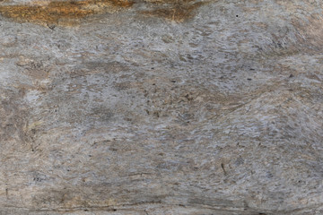 Old dry wood texture grey brown