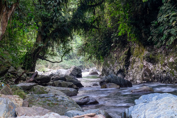 Rio Colombiano entre arboles y rocas