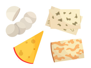 Various types of cheese. Modern flat style realistic vector illustration icons, isolated on white background