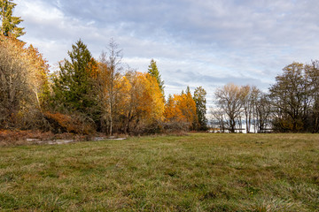 shoreline on bainbridge island with glow from the setting sun