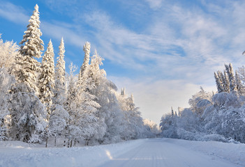 Winter landscape. The road through a white snowy forest. Along the edges of fir and birch covered with snow. Russia . Siberia.