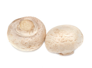 Two champignons isolated on a white background