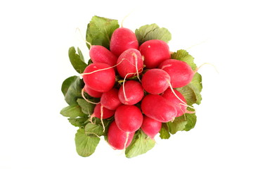 Radish