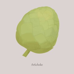 Artichoke healthy fresh vegetables on a gray background. The whole artichoke is a delicious vegetable for cooking, medicine.