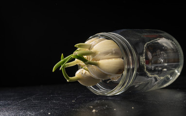Garlic in a glass jar