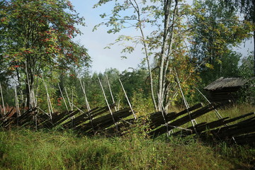 Fototapeta na wymiar A traditional roundpole fence and a log shed