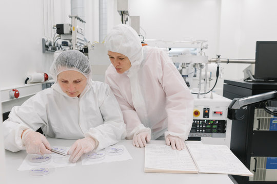 Two scientists working in laboratory
