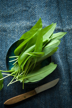 Overhead View Of Fresh Wild Garlic Leaves In Bowl