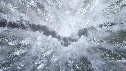 Winter landscape on the river with a forest among snow with a bird's-eye view. Drone view photo from the drone on a cloudy,misty day. Aerial top view beautiful snowy landscape.