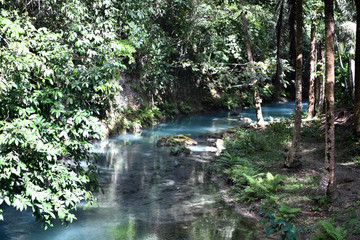 Fototapeta na wymiar mountain river and waterfall in a tropical forest on the philippine islands