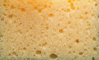 Sponge texture. Background made of a perforated sponge.