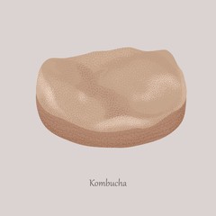 Kombucha, tea mushroom, tea fungus, or Manchurian mushroom on a gray background. Medicinal mushroom and logo.