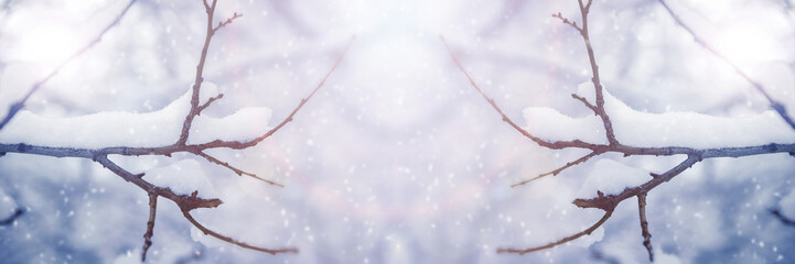 Tree branches covered in snow on a snowing day. Beautiful winter background. Panoramic banner.