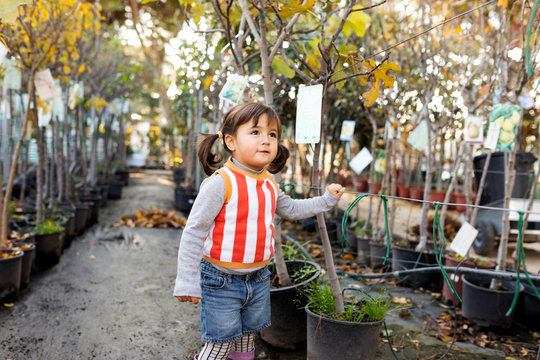 Portrait of little girl exploring potted trees in plant nursery
