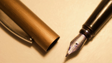Close up Ink Pen
