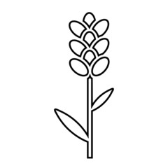 lavender icon. Simple element illustration from nature concept. lavender editable symbol design on white background.
