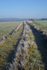 road in the field