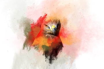 Bird of prey. Portrait. Dispersion, splatter effect. Colorful background. 