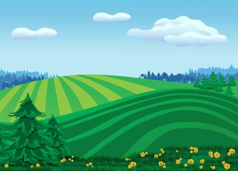 Fototapeta premium Beautiful summer landscape of a green meadow and blue sky. Glade with green grass and blooming flowers.