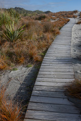 Walking path. Westcoast South Island New Zealand. Coast.