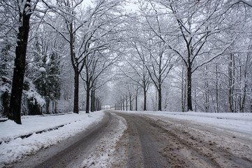 Obraz premium Saint-Etienne sous la neige, Loire