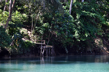 green river in tropical forest on bohol island in philippines