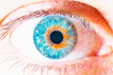 blue eye macro photography