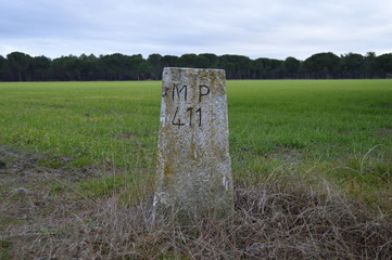 campo2