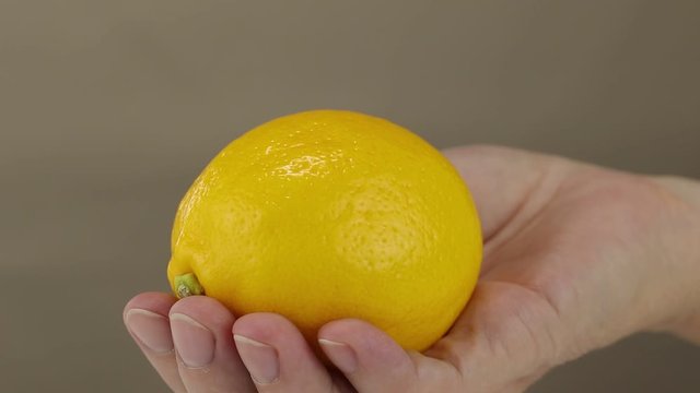 Female hand holds a yellow lemon on a gray background, close-up