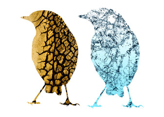 Cute little birds. Drought theme images. 