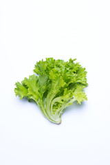 フリルレタス　イメージ