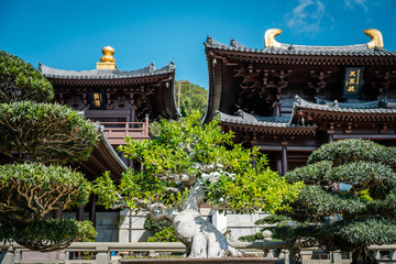 Bonsai trees in Chinese Garden in Buddhist temple in Hong Kong