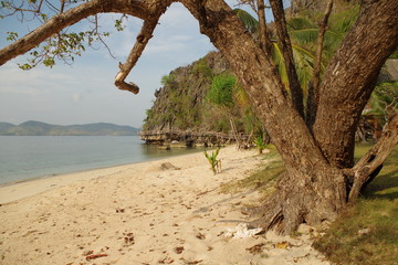 A beautiful island in the Philippines archipelago. The isle has a sandy beach and many palm trees. A rocky cliff edge is visible in the distance. In the foreground, a big tree trunk.