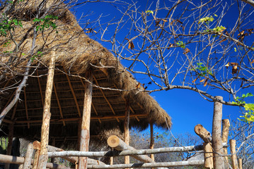 Mexican style cottage with thatched roof in tropical jungle.