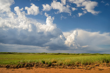 Low lands along the beach leading off to the sand dunes along the shores of rural Prince Edward...