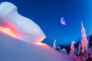 Fototapety na wymiar - Fototapeta24.pl