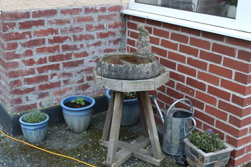 Bird pond on a table