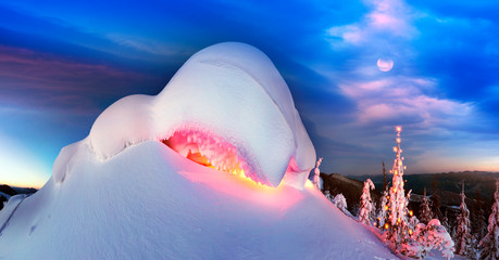 Fototapety na wymiar - Fototapeta24.pl