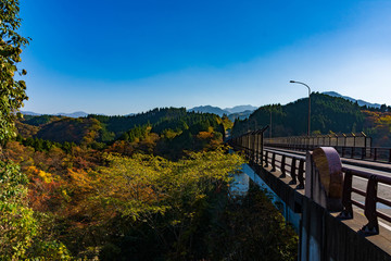 阿蘇長崎鼻展望台から紅葉風景阿蘇郡蘇陽町aso Autumn Leaves View From Nagasakibana Observatory Soyo Cho Aso Gun Wall Mural Korokichikun