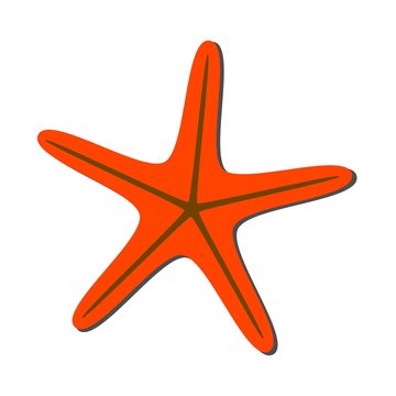Starfish in flat style isolated on white background .Vector illustration for your design. Summer cartoon starfish.
