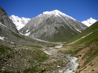 Fototapeta na wymiar High mountain with green land and snow 
