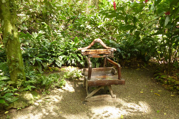 bench in the garden