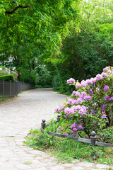 Walk on a warm sunny day in the park Volkspark Friedrichshain, cozy paths and green lawns, beautiful flowers