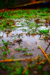 Another unknown land from below 
