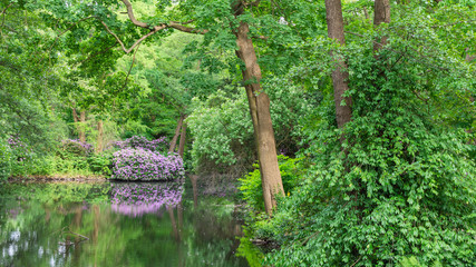 The Tiergarten, walk through the green beautiful park in central Berlin, beautiful large bushes with flowers near the river